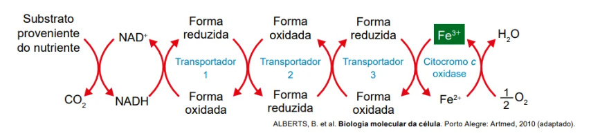 Questão 122 AMARELA - ENEM 2023 -