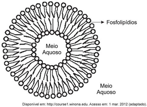 Questão 89 – ENEM 2012 -