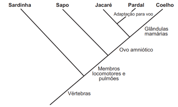 Questão 102 - ENEM PPL 2021 -