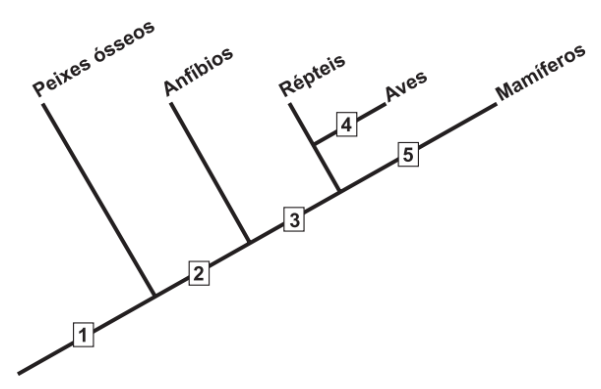 Questão 48 - ENEM PPL 2015 -