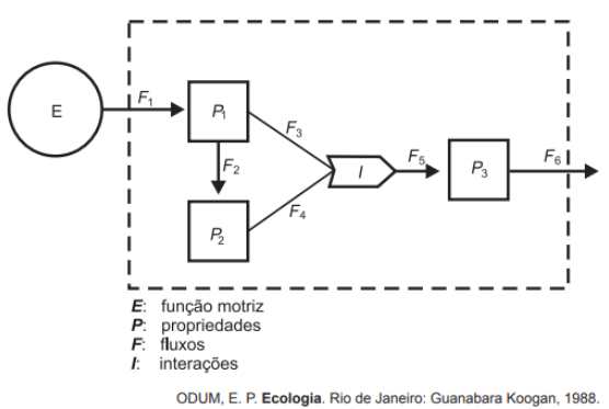 Questão 56 - ENEM 2012 -