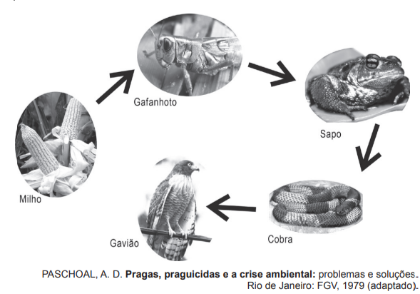 Questão 54 - ENEM PPL 2012 -