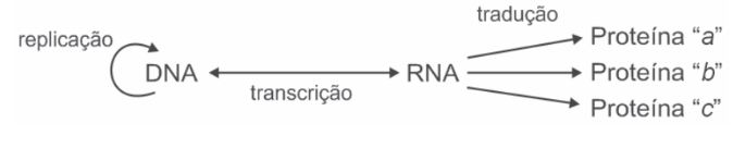 Questão 16 - ENEM 2009 -