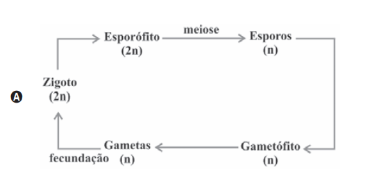 Questão 21 - ENEM 2009 -