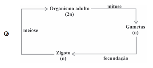 Questão 21 - ENEM 2009 -