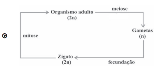 Questão 21 - ENEM 2009 -