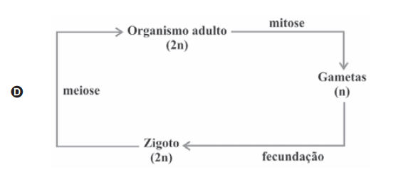 Questão 21 - ENEM 2009 -