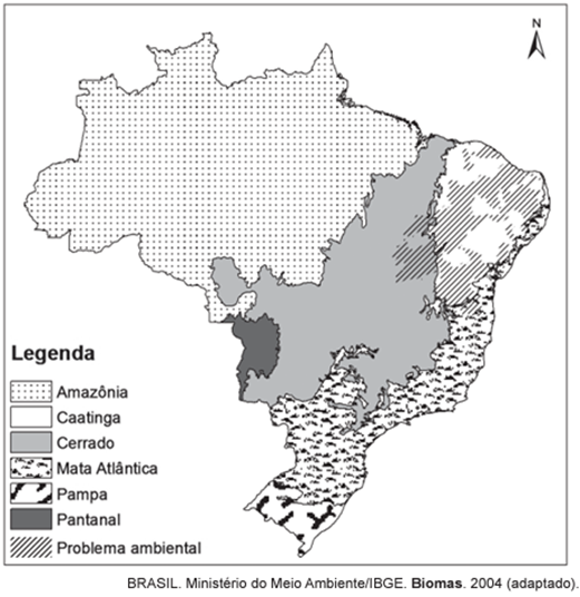 Questão 01 – ENEM 2015 -