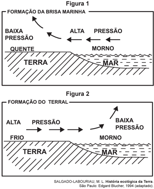 Questão 77 – ENEM 2017 -