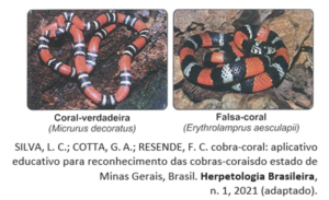 Enem: O Cerrado e a Amazônia abrigam grande número